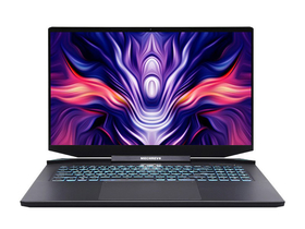 机械革命钛钽PLUS(酷睿i9-11900H/32GB/1TB/RTX3080/2K)