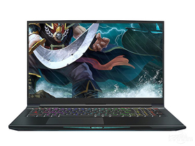 机械革命深海泰坦X10 PRO(酷睿i7-10875H/16GB/512GB/RTX3070)