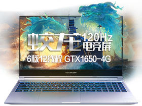 机械革命蛟龙(R5-4600H/8GB/512GB/GTX1650/120Hz)