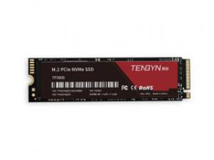 腾隐TP3000 1TB M.2 SSD