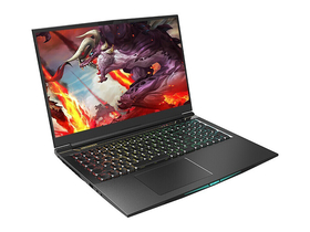 机械革命深海泰坦X10 PRO(酷睿i7-11800H/16GB/512GB/RTX3070)