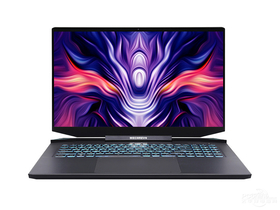 机械革命钛钽PLUS(酷睿i7-10875H/32GB/1TB/RTX3070)