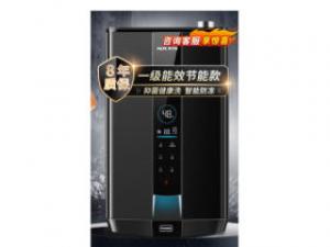 奥克斯DA101