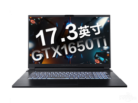 雷神新911MP伪装者(酷睿i7-10750H/8GB/512GB/GTX1660Ti/144Hz)