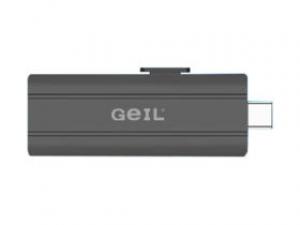 金邦GP500(256GB)