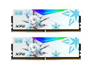 威刚龙耀华硕吹雪联名RGB DDR5 7200 32GB(16GB×2)