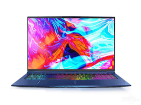 机械师F117-FP(酷睿i7-10875H/32GB/512GB+2TB/RTX2070/144Hz)