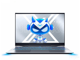 机械师战空F117-X(酷睿i7-10875H/32GB/512GB+1TB/RTX2070)