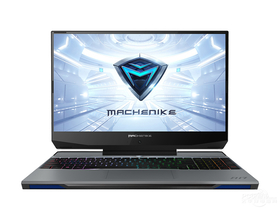 机械师战空F117-V(酷睿i7-10750H/16GB/256GB+1TB/GTX1650)