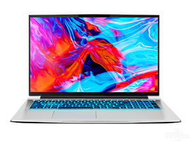 机械师战空F117-FP(酷睿i7-10870H/32GB/512GB+1TB/RTX3060/144Hz)