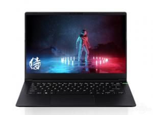 VAIO侍14 Pro(酷睿i7-11370H/16GB/1TB/GTX1650Ti)