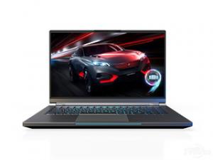 攀升迁跃者D(酷睿i7-9750H/8GB/512GB/GTX1660Ti)