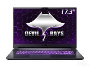 未来人类DR721(酷睿i7-10870H/16GB/512GB/RTX3060)