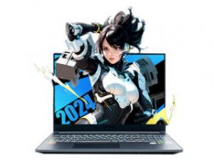 机械革命极光pro(酷睿i7-13650HX/16GB/1TB/RTX4060/165Hz/2.5K)