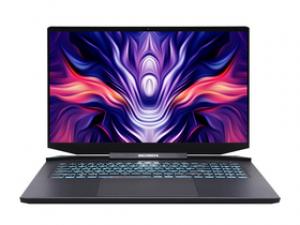 机械革命钛钽PLUS(酷睿i7-11800H/16GB/512GB/RTX3070/2K)