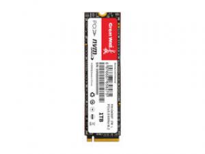 长城GW300T 1TB M.2 SSD