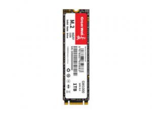 长城GW1000 1TB M.2 SSD