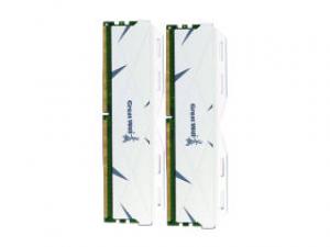 长城马甲条 DDR5 5600 32GB(16GB×2)