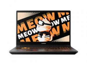 七彩虹MEOW R15 24(R7-7735H/16GB/512GB/RTX4050/144Hz)
