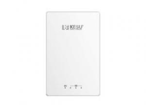 科硕T1 1TB