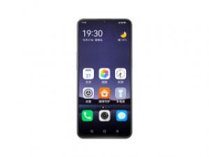 臻情20