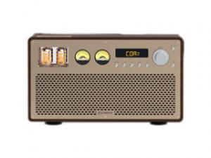 THINKYA DVR109