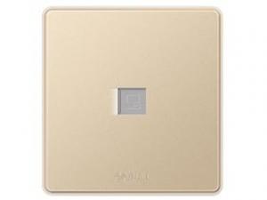 公牛 G18T102A