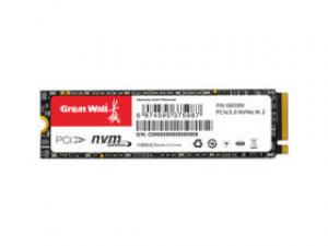 长城GW3300 128GB M.2 SSD