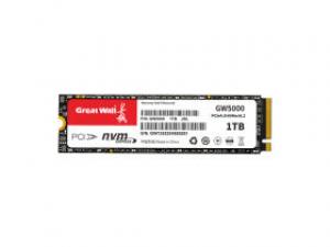 长城GW5000 1TB M.2 SSD