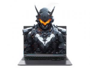 机械革命极光X(酷睿i7-13700HX/16GB/1TB/RTX4060/2.5K/165Hz)