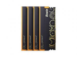 佰维时空行者DW100 RGB C28 DDR5 6000 192GB(48GB×4)