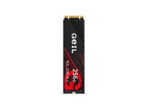 金邦N3L 256GB M.2 SSD