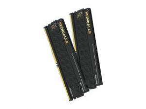 阿斯加特海姆达尔x耀 C36 DDR5 6000 32GB(16GB×2)