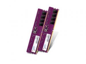 威刚万紫千红 DDR5 4800 32GB(16GB×2)