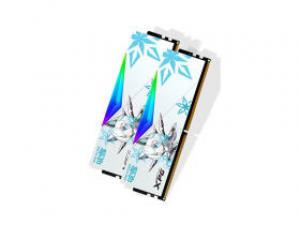 威刚XPG 龙耀 D500G 吹雪联名 C30 DDR5 6400 32GB(16GB×2)