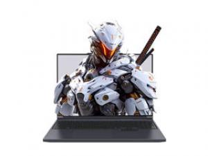 机械革命旷世X 2025(酷睿i7-14650HX/16GB/1TB/RTX5060/2.5K/180Hz)